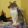 Отзыв от Прасковья Медведева